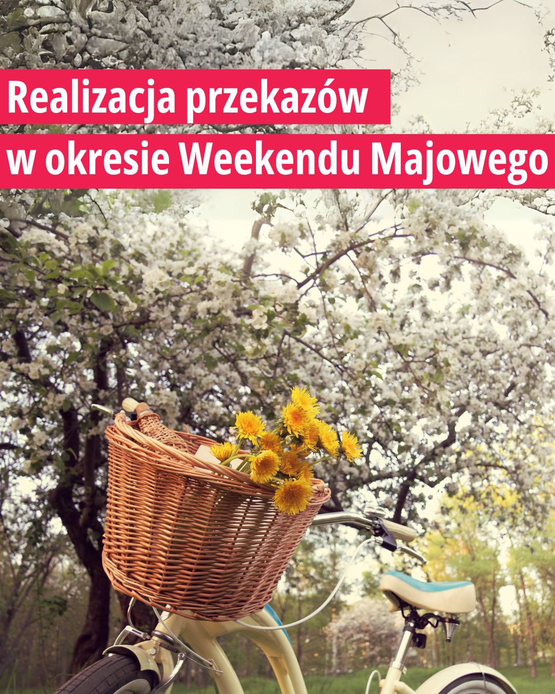 Read more about the article Majówka 2025 – sprawdź, kiedy dotrze Twój przekaz