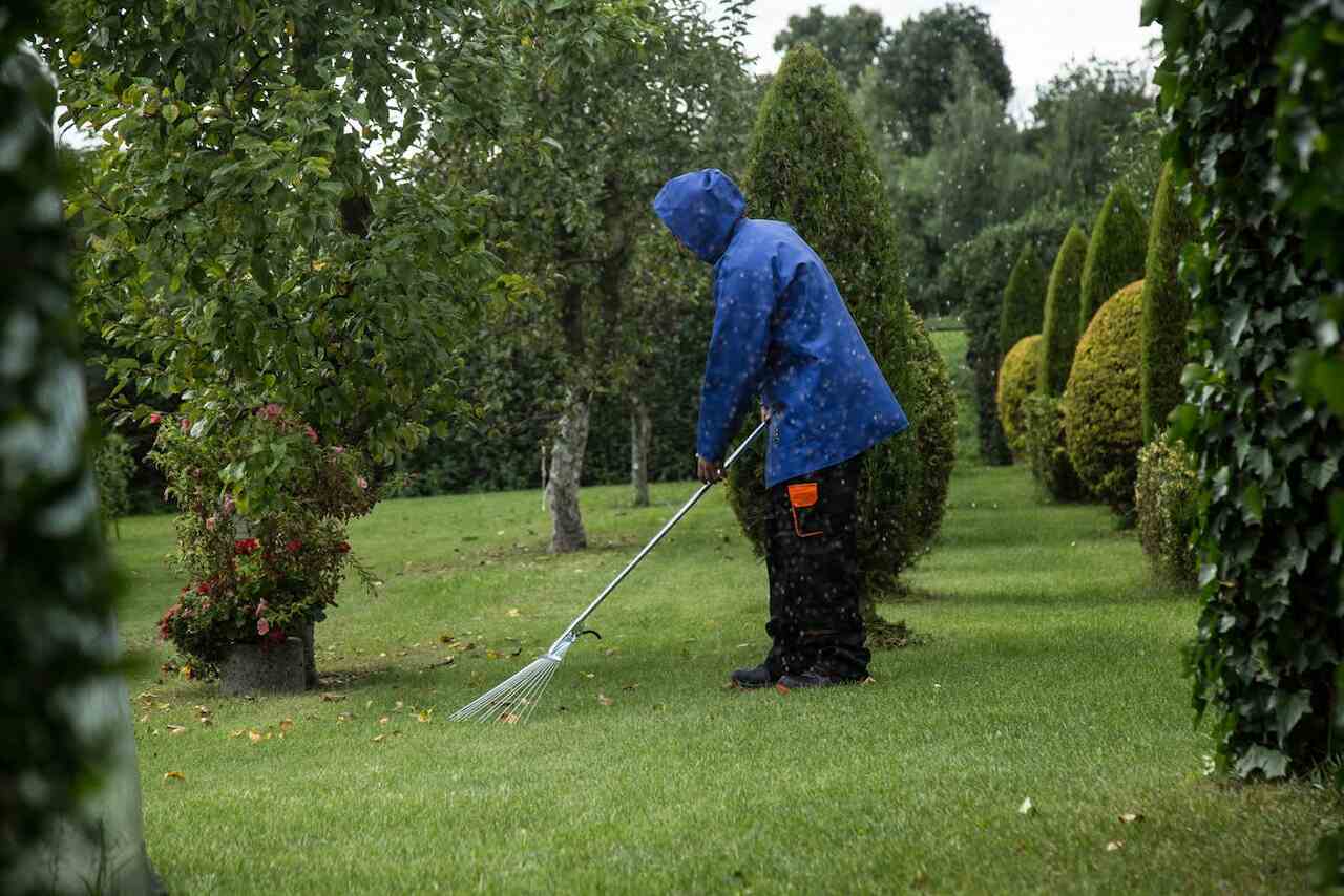 Read more about the article Pomysły na biznes w Anglii, które mogą się udać